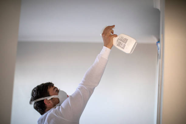 Best DIY Mold Remediation Support Services in St Marys, KS