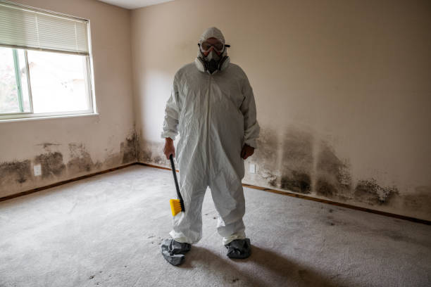 Best Mold Remediation for Schools in St Marys, KS